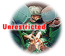 Healthcare Unrestricted Logo